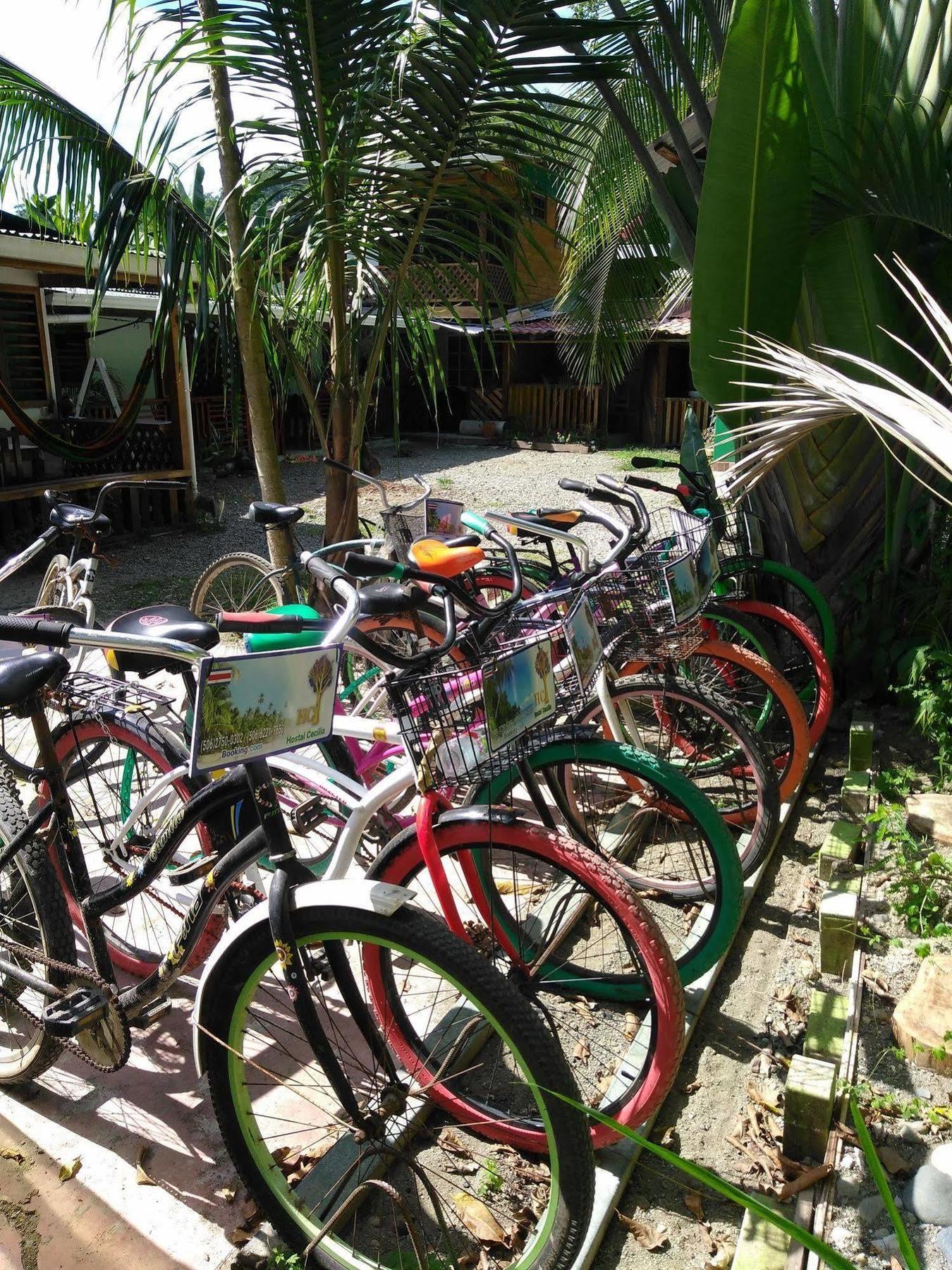 Hostal Cecilia Puerto Viejo de Talamanca Екстериор снимка