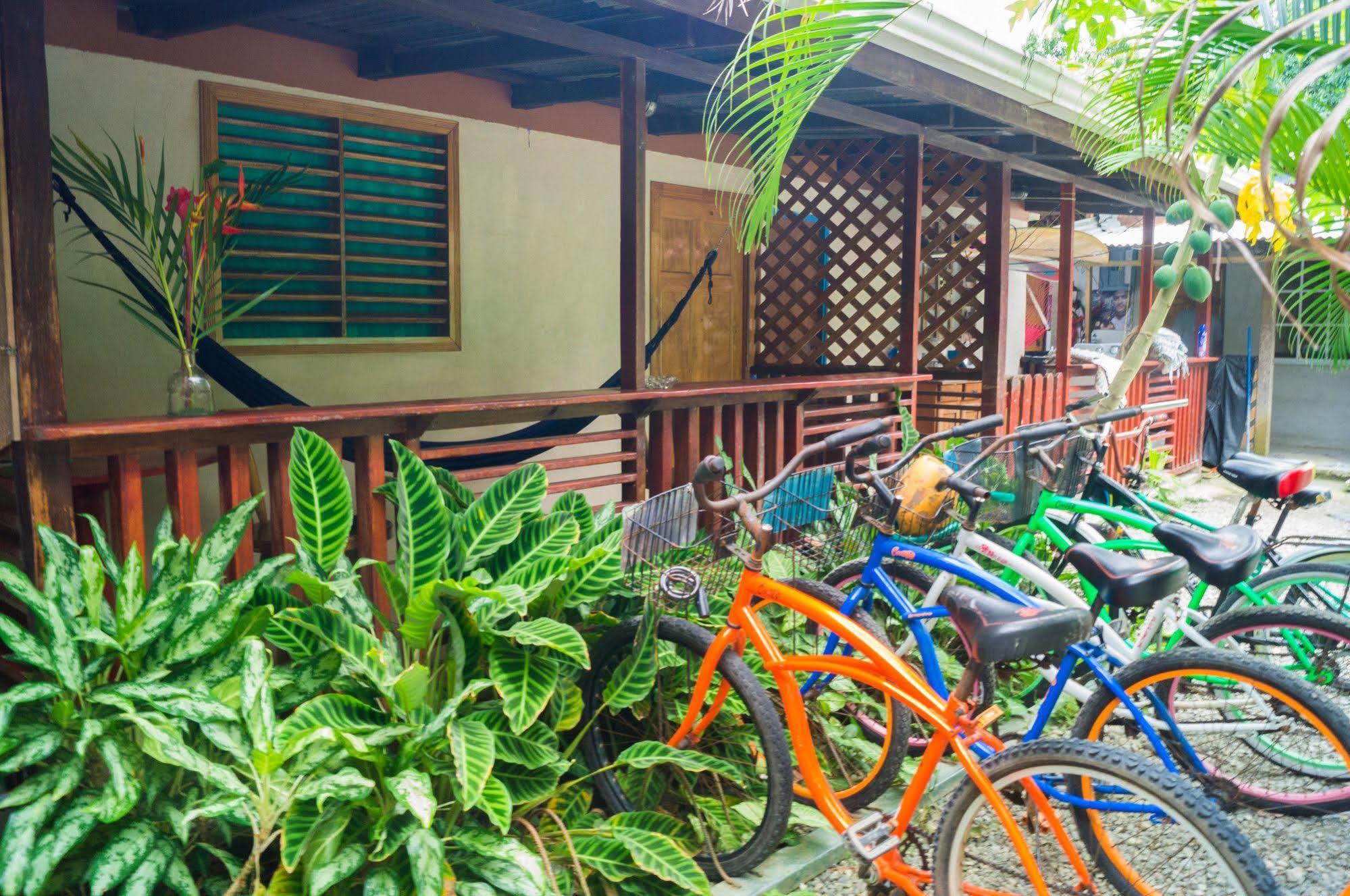Hostal Cecilia Puerto Viejo de Talamanca Екстериор снимка